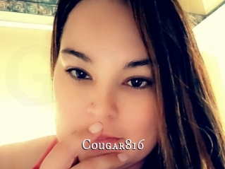 Cougar816