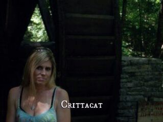 Crittacat