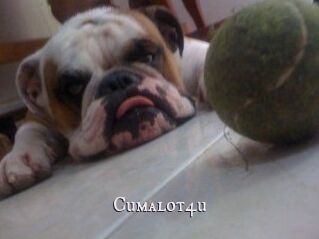 Cumalot4u