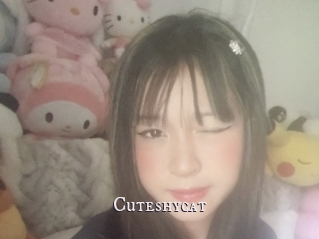 Cuteshycat