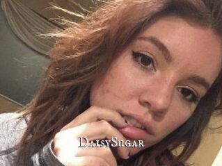 Daisy_Sugar