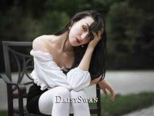 DaisySwan