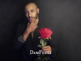 DamFenix