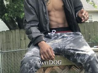 Day1DOG