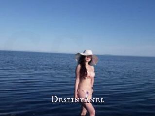 DestinyAnel