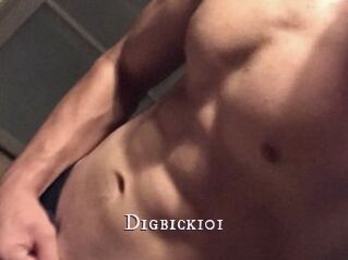 Digbick101