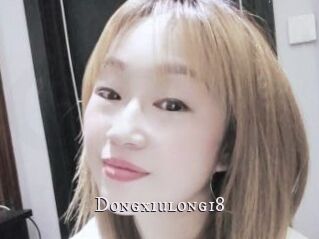 Dongxiulong18
