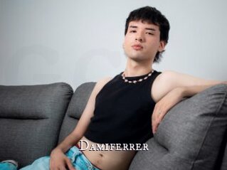 Damiferrer