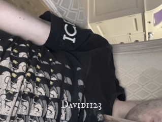 David1123