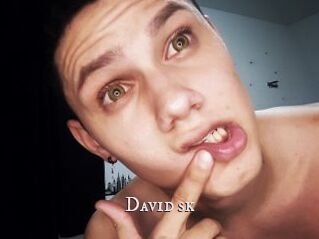 David_sk