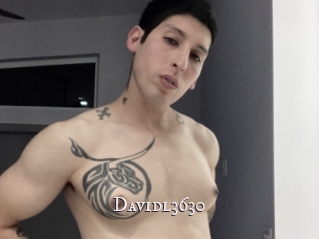 Davidl3630