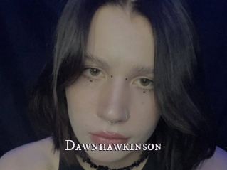 Dawnhawkinson