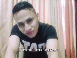 Destructordealmas