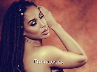 Didiflower