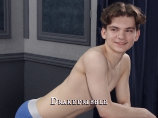 Drakedribble