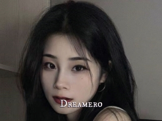 Dreamero