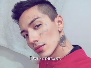 Dylandblake