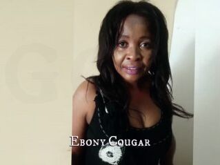 Ebony_Cougar