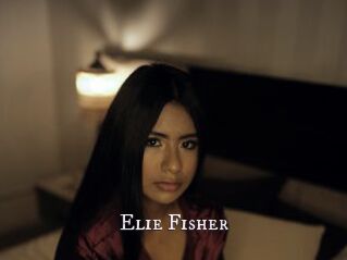 Elie_Fisher