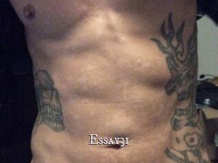 Essay31