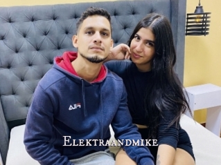 Elektraandmike