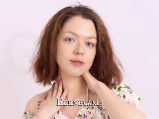 Elenecaris