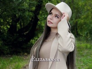 Elizabarnes