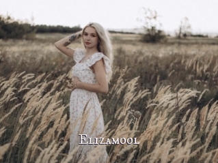 Elizamool