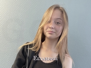Elvabigge