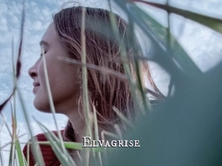 Elvagrise