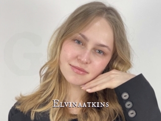 Elvinaatkins