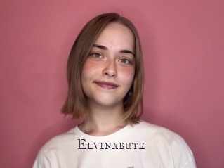 Elvinabute
