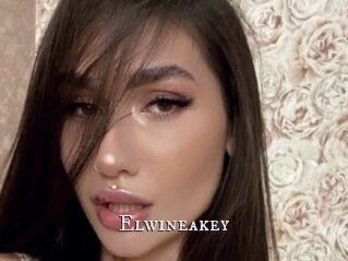 Elwineakey