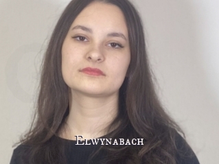 Elwynabach