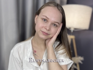 Elwynabucher