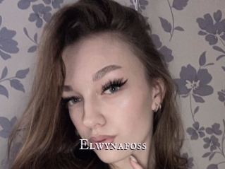 Elwynafoss