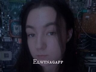 Elwynagapp