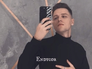 Endycor