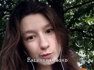 Erlenehammond