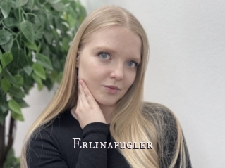 Erlinafugler