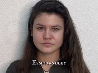 Esmehandley
