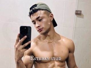 Esteban_stud