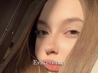 Evelinagray