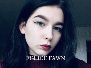 FELICE_FAWN