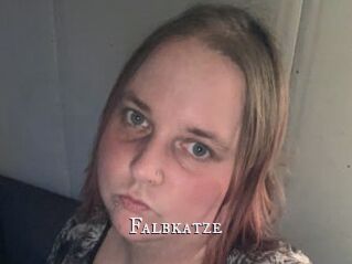 Falbkatze