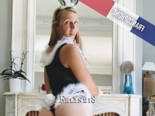 Feline18