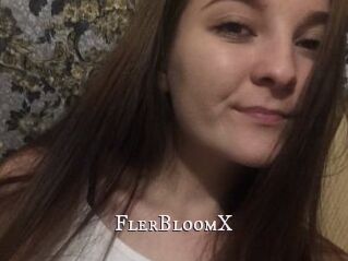 FlerBloomX