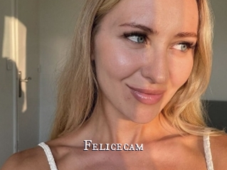 Felicecam