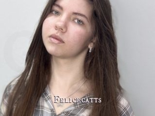Felicecatts