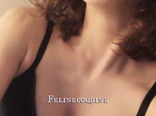 Felinecoquine